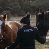 Black Opal Equestrian